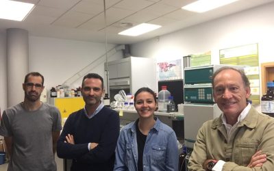 The IMAES group receives the researcher A. Acevedo, from the University of BATH (UK), for three weeks in October, to complete the research on her doctoral thesis.